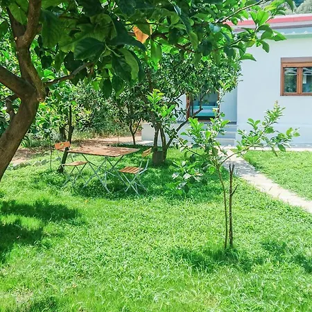 Lemongarden By The Sea * Загора