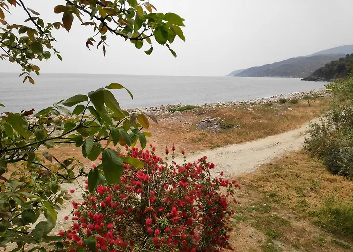 Lemongarden By The Sea Holiday home